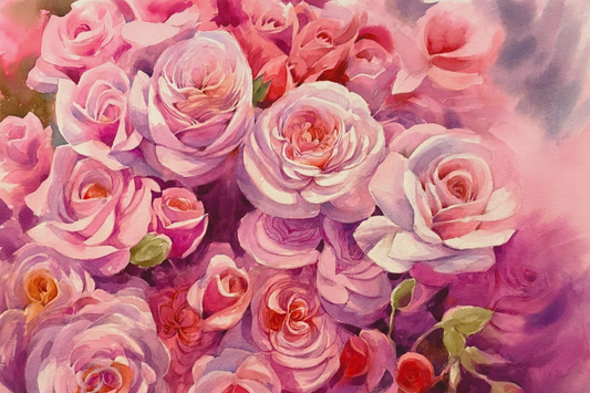 roses blossom